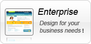 custom WEBSITE DESIGN|ENTERPRISE PLAN