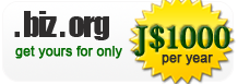 .biz,.org domains only J$1000
