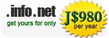 .net,.info domains only J$980